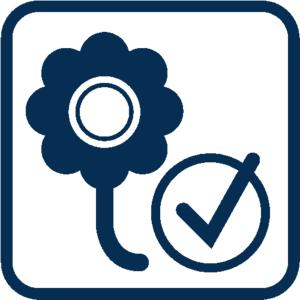 Frühjahrs-Check Bild Frühjahrs-Check